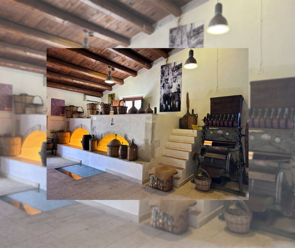 Il museo della Mandorla di Avola: custode di una tradizione millenaria